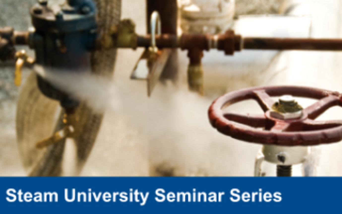 Steam University Seminar Series January 2020