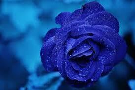 my flower