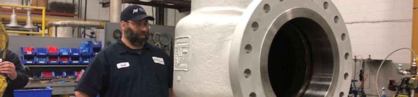 AOV and MOV Valve Repair