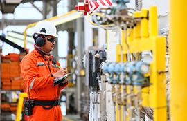 Plant Technician Inspecting Systems