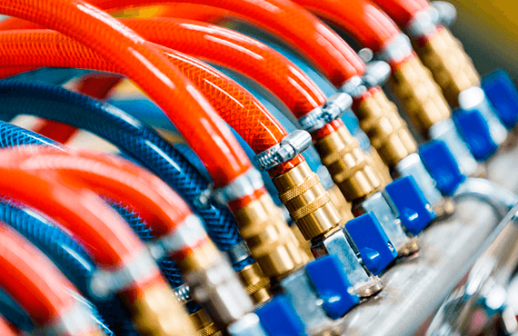 Tu Quoque Brute Fili Mi Nihil Timor