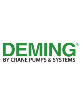 Deming Pump Solutions