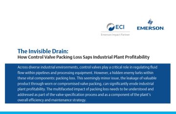 Invisible Drain: How Control Valve Packing Loss Saps Industrial Plant Profitability